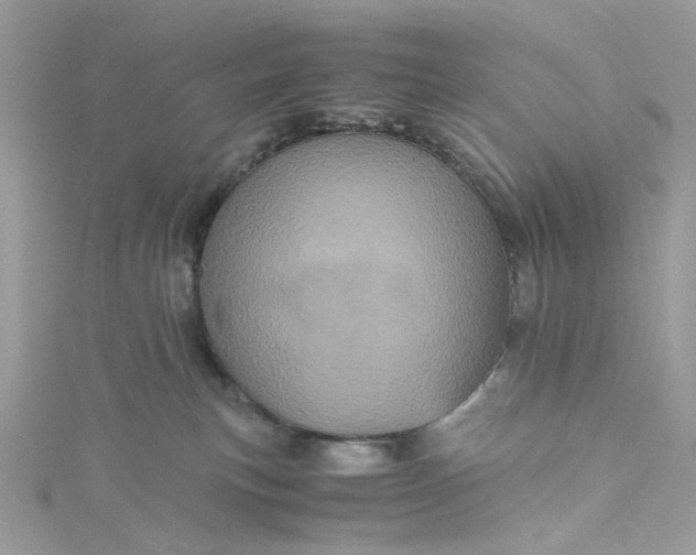 X0000115370183200911171422