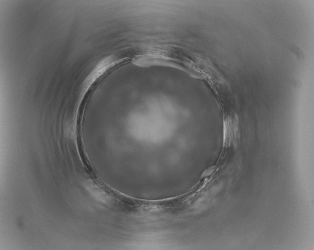X0000115370195200911171421