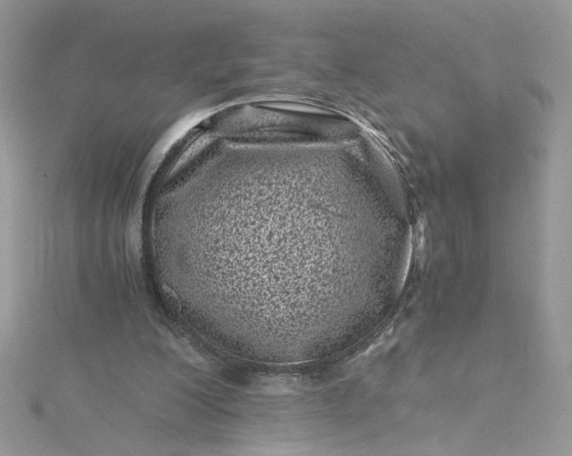 X0000115370200200911171421