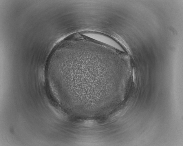 X0000115370204200911171421