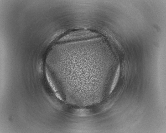 X0000115370212200911171421