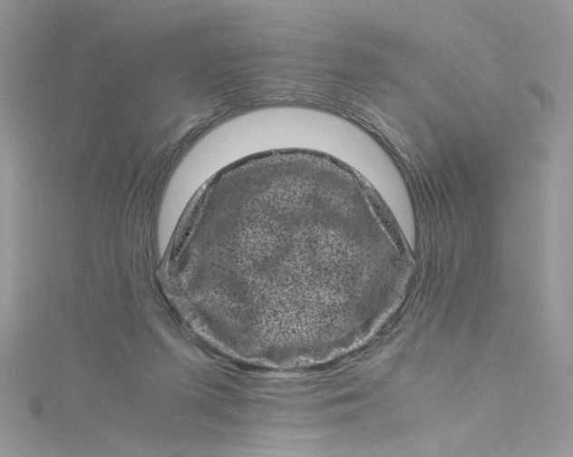 X0000115370215200911171421