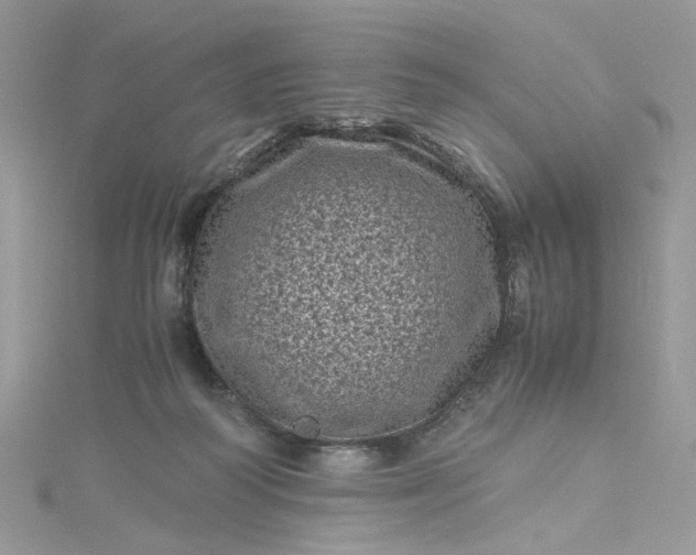 X0000115370218200911171421