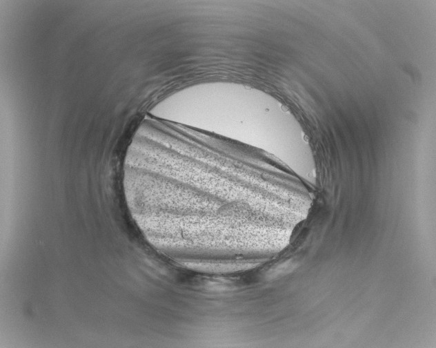 X0000115370229200911171421