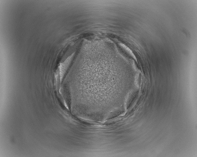 X0000115370233200911171421