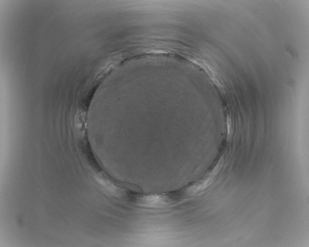 X0000115370237200911171421