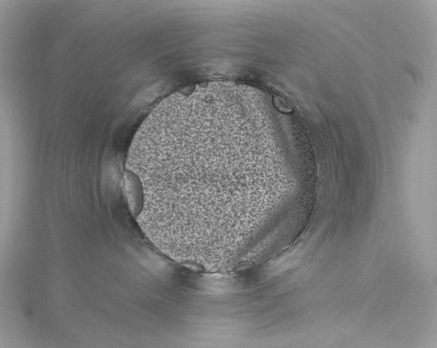 X0000115370240200911171421