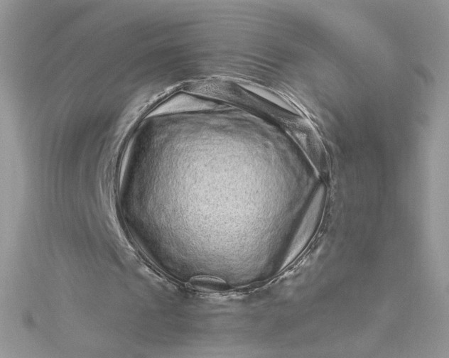 X0000115370241200911171420