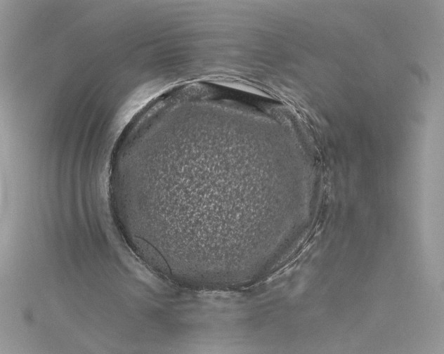 X0000115370242200911171420