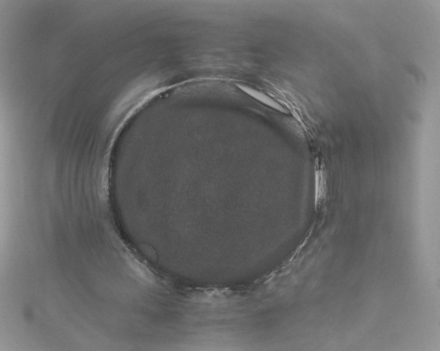 X0000115370243200911171420
