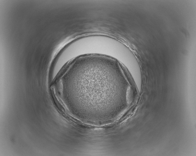 X0000115370248200911171420