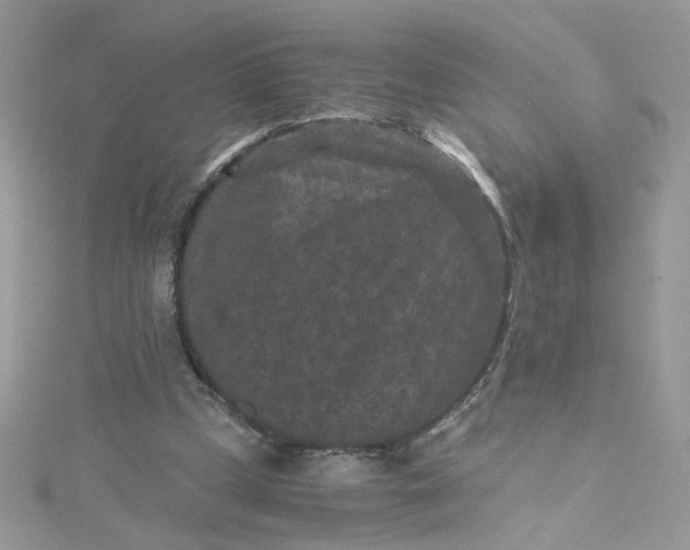 X0000115370249200911171420