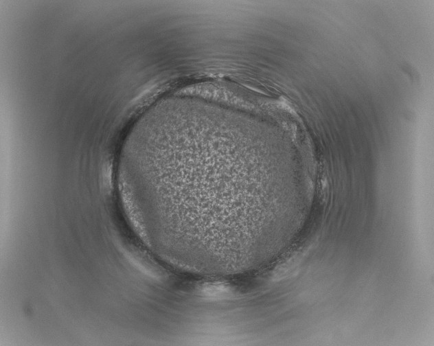 X0000115370262200911171420