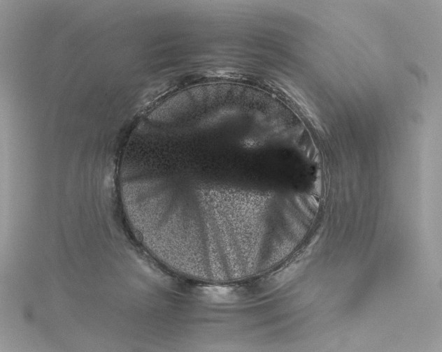 X0000115370265200911171420