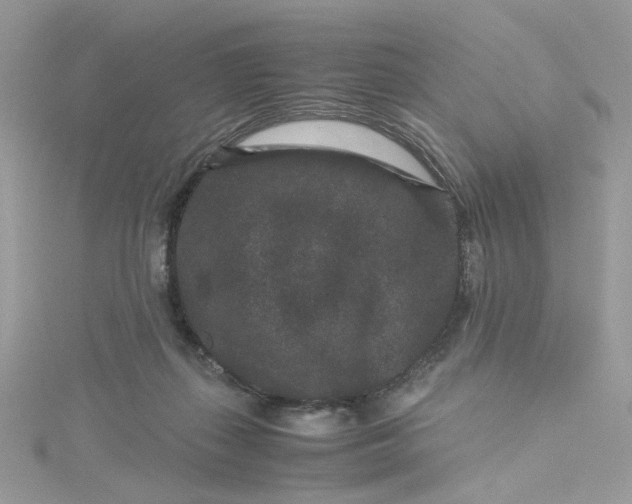 X0000115370267200911171420