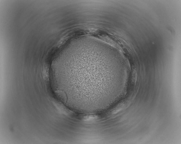 X0000115370274200911171420