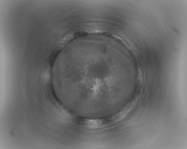 X0000115370277200911171420