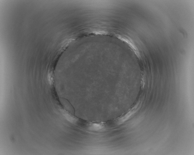 X0000115370285200911171420
