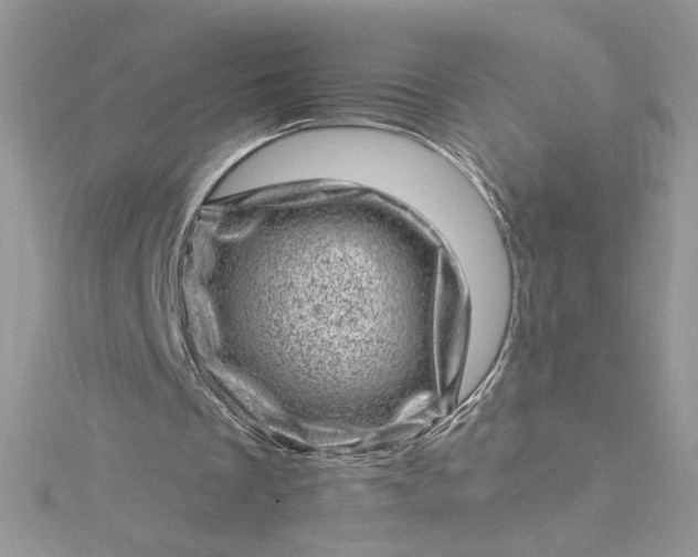 X0000115370289200911171420