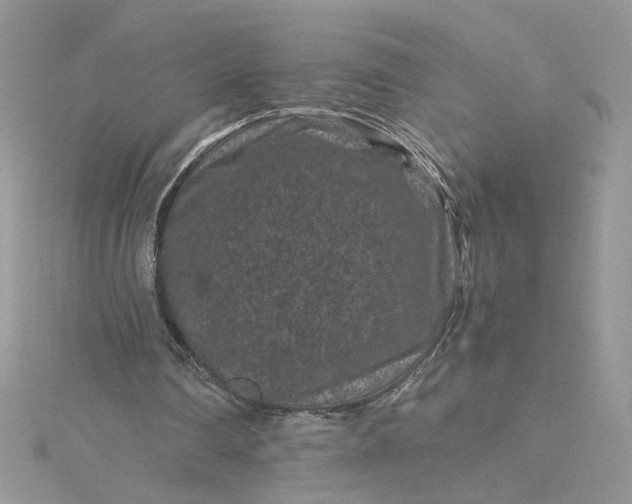 X0000115370290200911171420