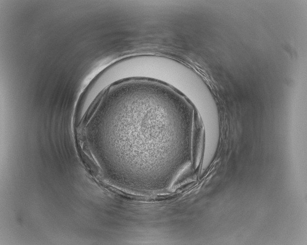 X0000115370292200911171420