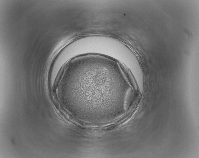 X0000115370293200911171420