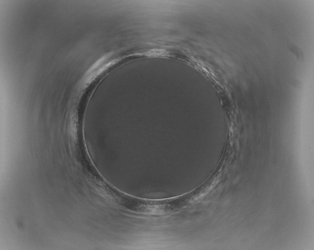 X0000115370295200911171420