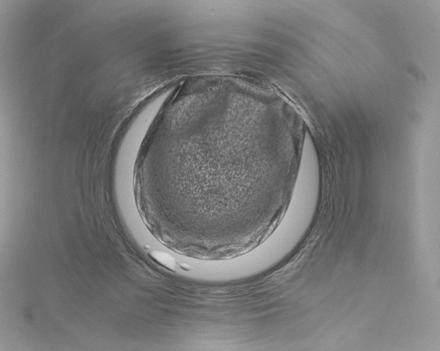 X0000115370301200911171420