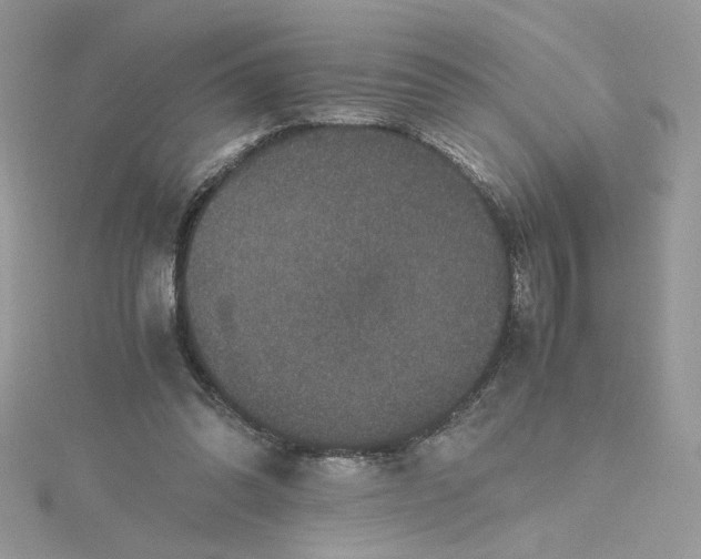 X0000115370302200911171420