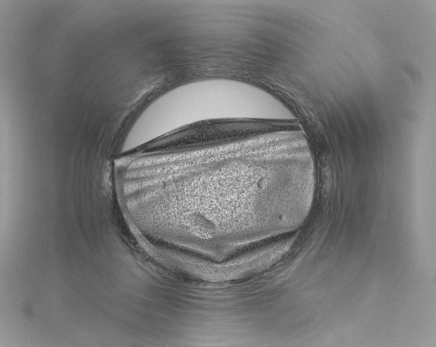 X0000115370308200911171420