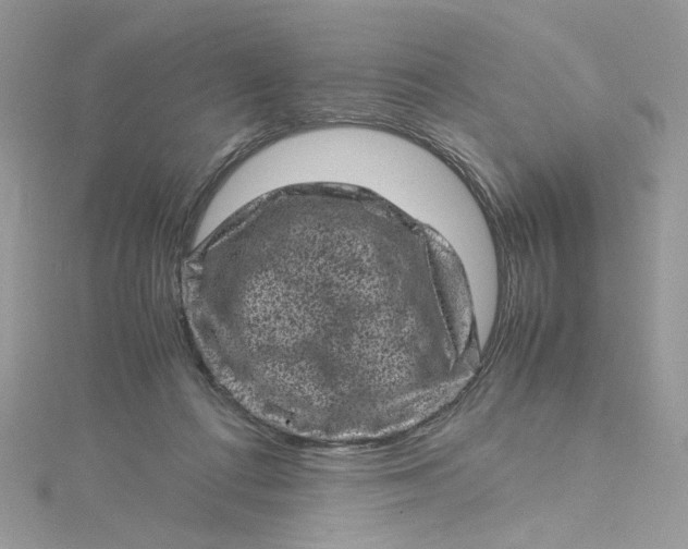 X0000115370312200911171420
