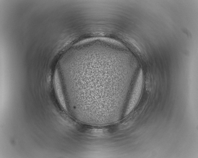 X0000115370314200911171420