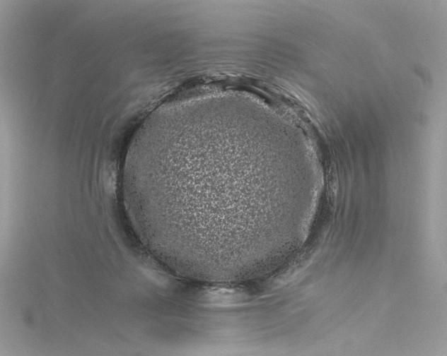 X0000115370315200911171420