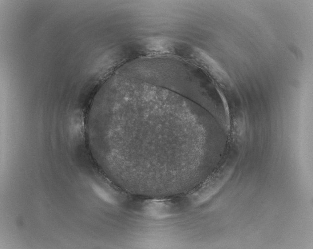 X0000115370320200911171419