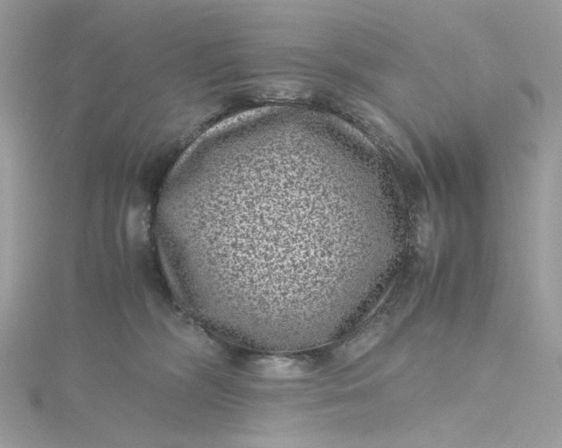 X0000115370326200911171419