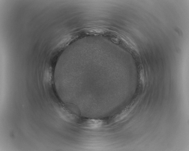 X0000115370328200911171419