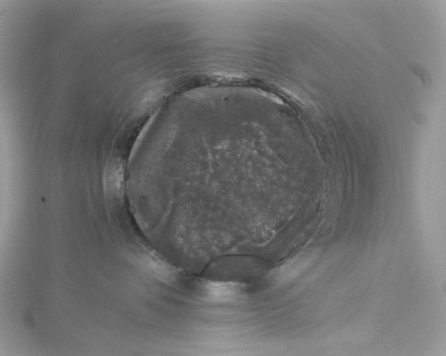 X0000115370336200911171419