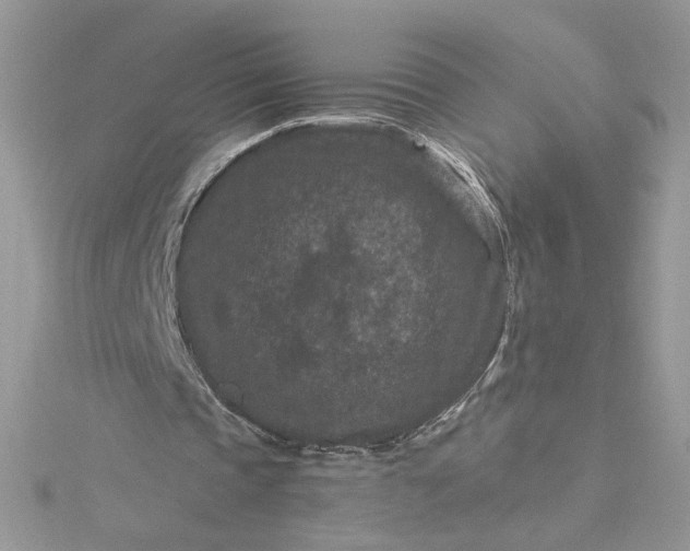X0000115370337200911171419