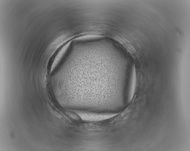 X0000115370338200911171419