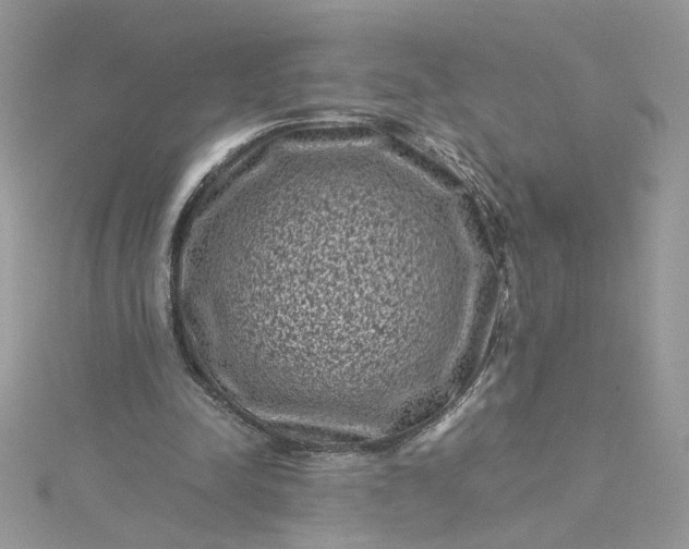 X0000115370342200911171419