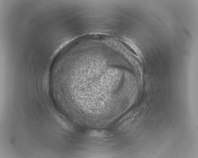 X0000115370346200911171419