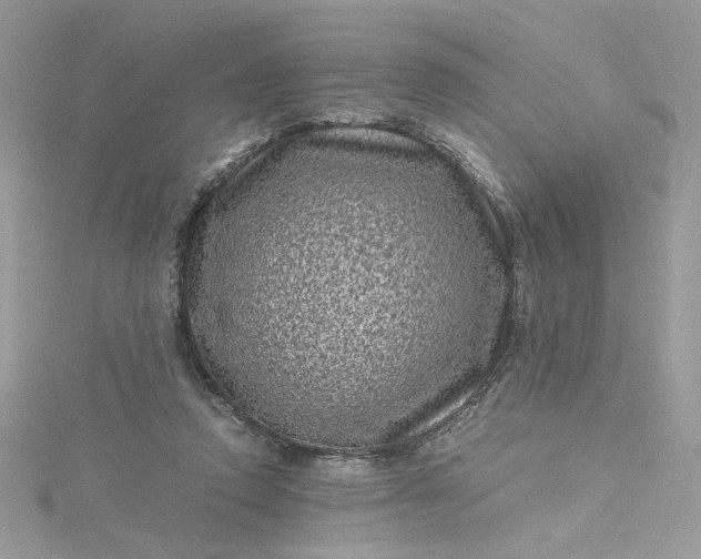 X0000115370354200911171419