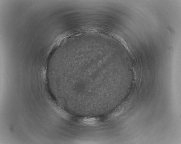 X0000115370357200911171419