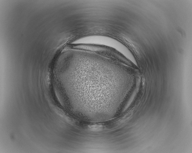 X0000115370362200911171419