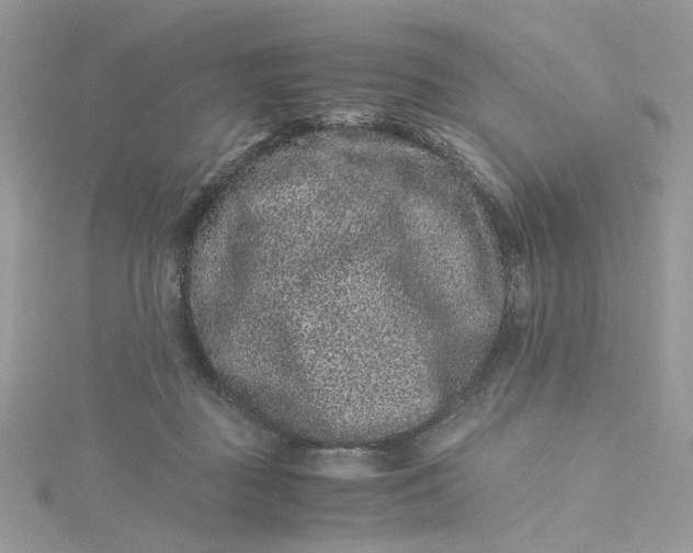 X0000115370363200911171419