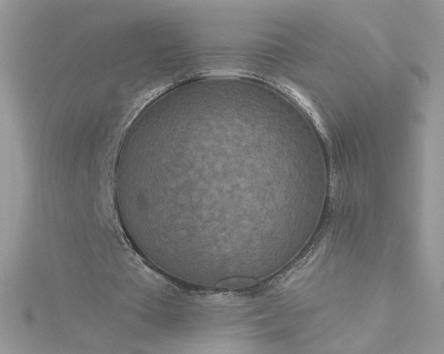 X0000115370385200911171419