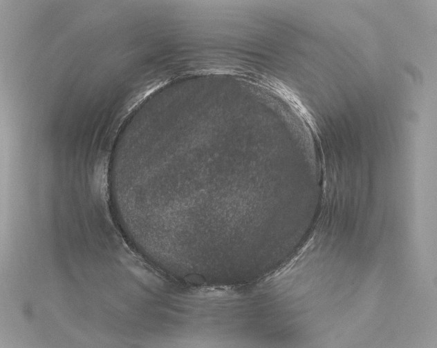 X0000115370386200911171419