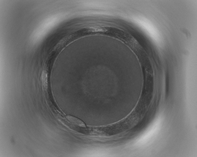 X0000115370387200911171419