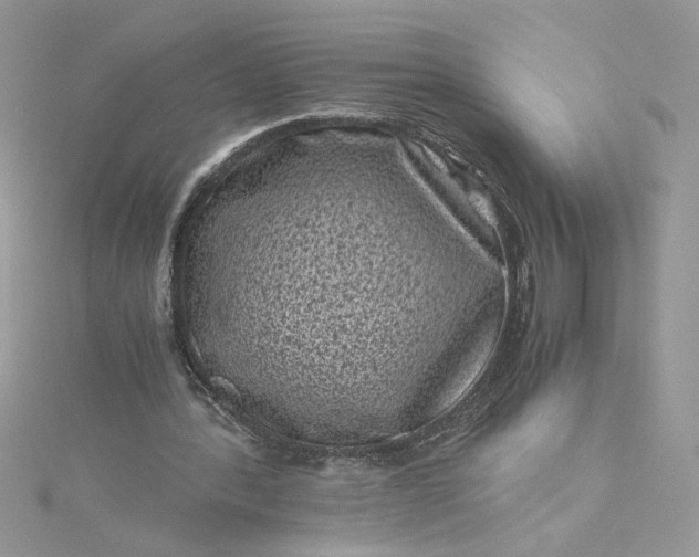 X0000115370388200911171419