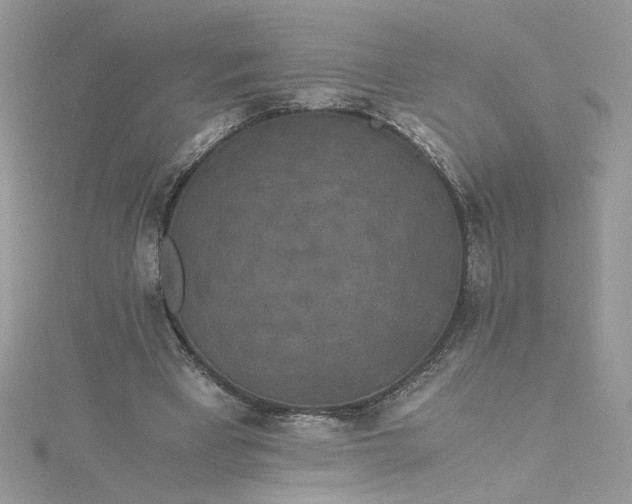 X0000115370393200911171419